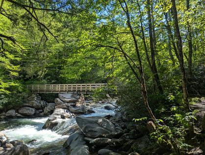 A footbridge on the Chimney Tops Trail in the Great Smoky Mountains near the Appalachian Trail.
Shari Edelson, CC BY-ND