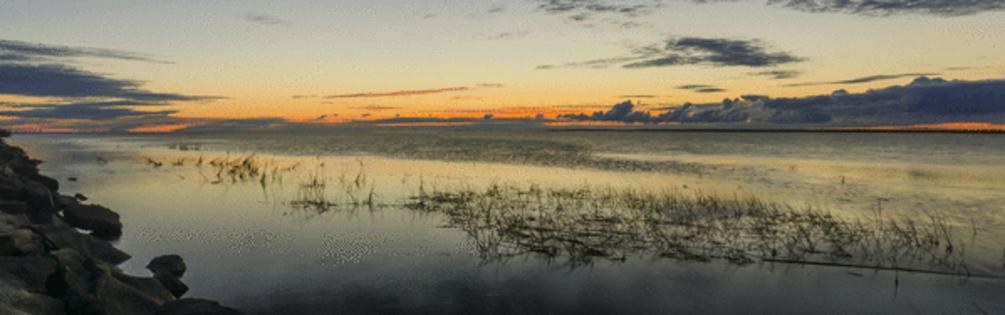 Dreamstime/Dreamstime/TNS