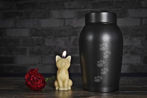 In remembrance of a cat. Decorative pet urn, next to a candle. Horizontal image. Dreamstime/TCA