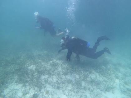 U.S. Coast Guard PRESS RELEASE/TNA