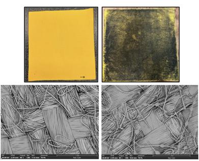 Microscope images show differences in the fabric of a clean firefighting jacket, on the left, and one exposed to burning ash trees, on the right, both from the author’s testing of wildland firefighters’ clothing. Contaminants appear as round spots attached to the fibers in the close-up of the fabric on the right.
Textiles and Apparel Science Laboratory/Oklahoma State University, CC BY-ND