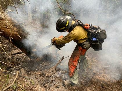 Smoke and ash contain chemicals that can harm wildland firefighters, and not just when they breathe it in. White River National Forest/BLM via Flickr