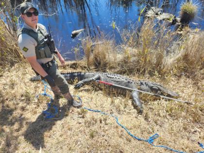 N.C. Wildlife Resources Commission/N.C. Wildlife Resources Commission/TNS