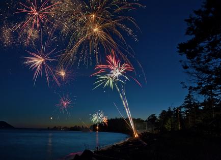 Remember that pets are not “misbehaving” when they panic during fireworks. They are responding to fear, writes Cathy M. Rosenthal. (Edmund Lowe/Dreamstime/TNS)