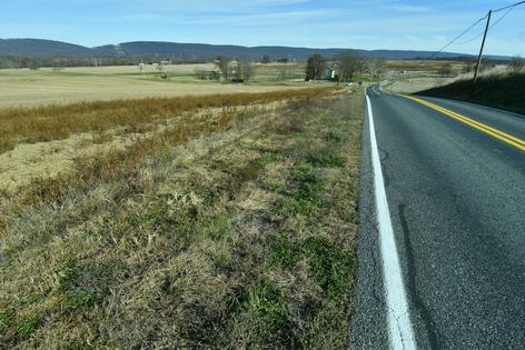 A stretch of land between the Conodoguinet Creek and Country Club Road near Carlisle, Pa., is set to become the site of a hyperscale data center.
AP Photo/Marc Levy