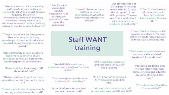 Participants in the training took surveys and reported a need and want for more training on how to help patients with substance use disorders. These are some of their responses.
              Karli Swenson