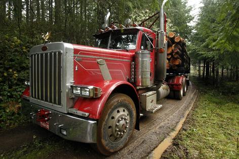Logging and mining use large, loud vehicles that can disrupt wildlife and fragment habitat.
              AP Photo/Don Ryan
