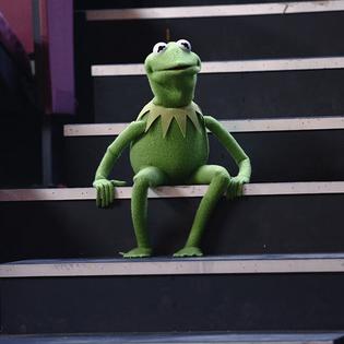 Bang Showbiz / Kermit The Frog