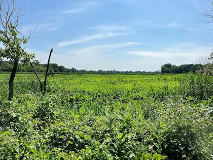 Water samples from rural Pennsylvania had similar microplastic levels to those taken from John Heinz National Wildlife Refuge in Philadelphia.
              Matthew James