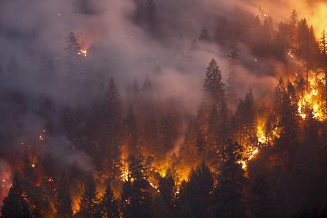 A record-tying heat wave helped spread a wildfire in Northern California's Shasta and Trinity counties in July 2018. Terray Sylvester/Getty Images