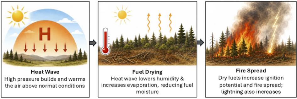 An illustration shows how heat exacerbates wildfire risk.
              Mukesh Kumar