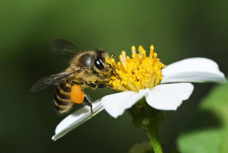 Wingkit/Dreamstime/TNS
