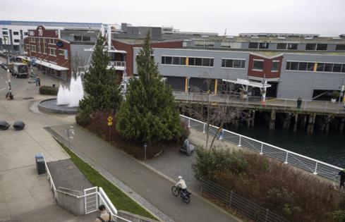 Ellen M. Banner/The Seattle Times/TNS