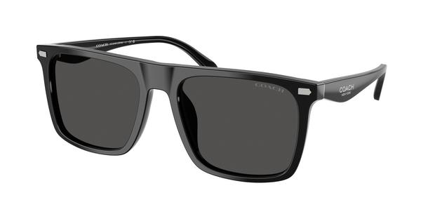 Coach sunglasses. EssilorLuxottica.