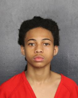 Broward Sheriff's Office/Broward Sheriff's Office/TNS