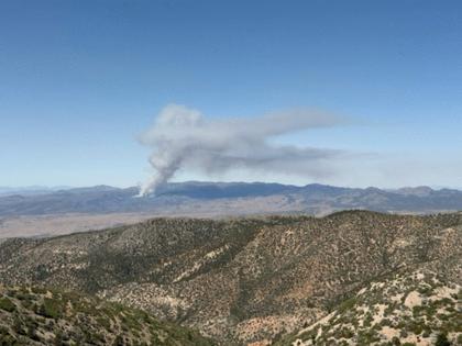 U.S. Wildland Fire Service/TNS/TNS