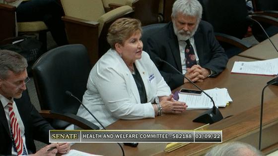 Screenshot/Tennessee General Assembly/TNS