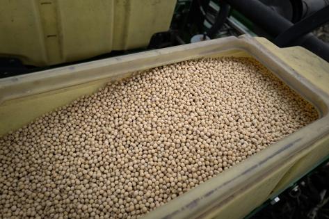 Soybean seeds sit in a hopper at a farm in Iowa.
Scott Olson/Getty Images