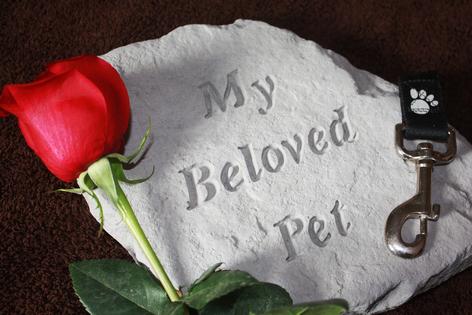 Loss of pet. Dreamstime/TCA