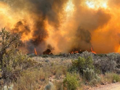 Colorado River Fire Rescue/TNS/TNS