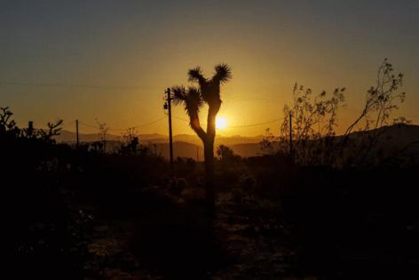 Gina Ferazzi/Los Angeles Times/TNS