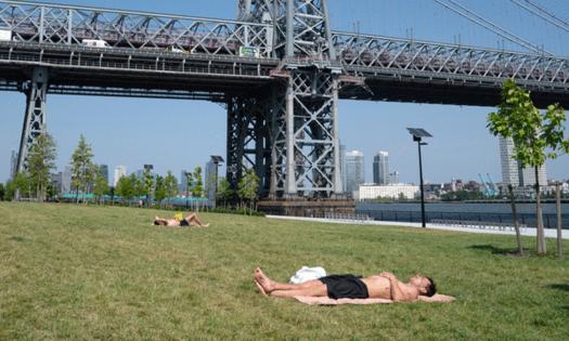 Barry Williams/New York Daily News/TNS