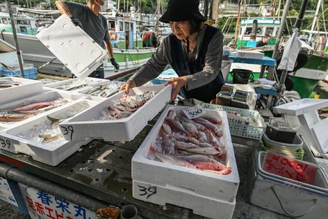 In many countries, men do most of the fishing and women sell the fish in local markets.
              Artur Widak/NurPhoto via Getty Images