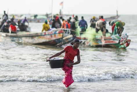 The role of women in small-scale fishing around the world has often been overlooked.
              Cem Ozdel/Anadolu via Getty Images