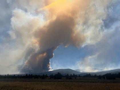 U.S. Forest Service/TNS