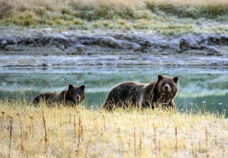 Karen Bleier/AFP/Getty Images North America/TNS