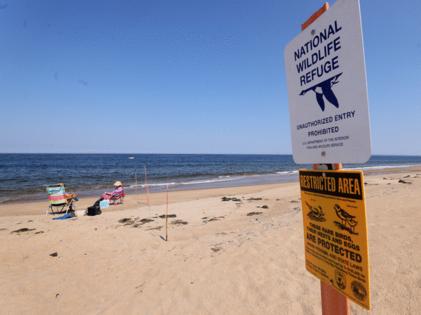 Nancy Lane/Boston Herald/Nancy Lane