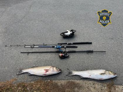 Massachusetts Environmental Police/TNS