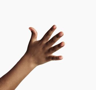Hand development is shaped by evolution, biology and environment.  Cunaplus_M.Faba/iStock via Getty Images Plus