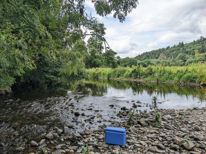 Hidden in the water is a wealth of genetic information. Jenny Whilde, CC BY-ND