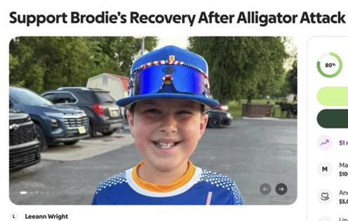 GoFundMe/TNS