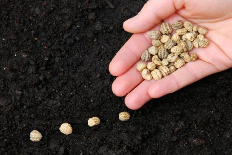 Photka/Dreamstime/TNS