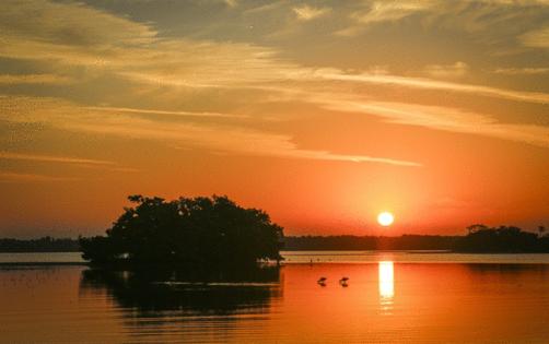 Max Chesnes/Tampa Bay Times/TNS