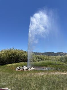 Old Faithful Geyser of California. Andy Yemma