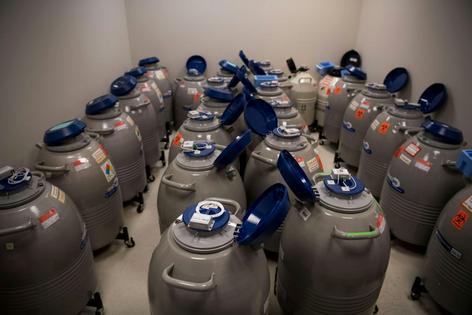Nitrogen tanks holding tens of thousands of frozen embryos and eggs sit in a lab at New Hope Fertility Center in New York on Dec. 20, 2017.  Carolyn Van Houten/The Washington Post via Getty Images