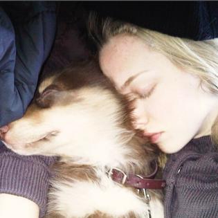 Bang Showbiz / Amanda Seyfried's dog has died