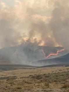 U.S. Wildland Fire Service/TNS/TNS