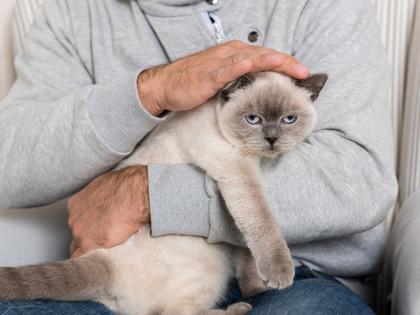 We often think of grief as something only people experience, but animals notice when someone important is suddenly gone, writes Cathy M. Rosenthal. (Dreamstime/TNS)