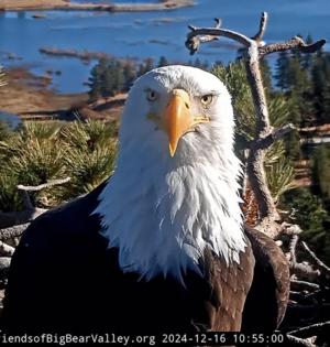 Friends of Big Bear Valley/TNS