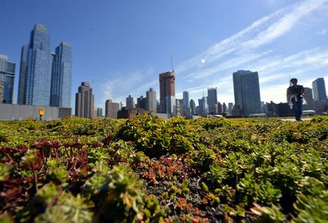 The rooftop of the Javits Center in New York is still thriving, but others have struggled. Xinhua/Wang Lei via Getty Images 