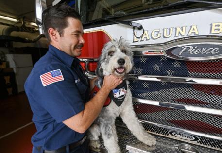 Jeff Gritchen/Orange County Register/TNS