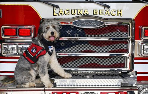 Jeff Gritchen/The Orange County Register/TNS