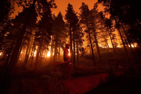 Paul Kitagaki Jr./The Sacramento Bee/TNS