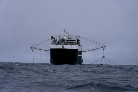 A trawler fishes for krill in the Southern Ocean. AP Photo/David Keyton
