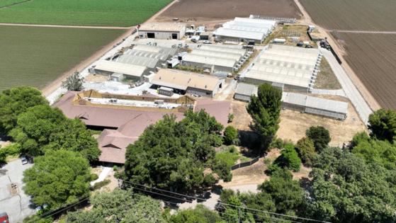 Nhat V. Meyer/Bay Area News Group/TNS