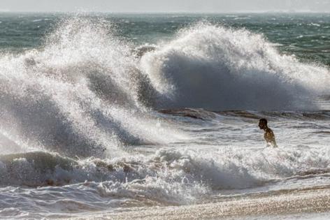 Robert Gauthier/Los Angeles Times/TNS